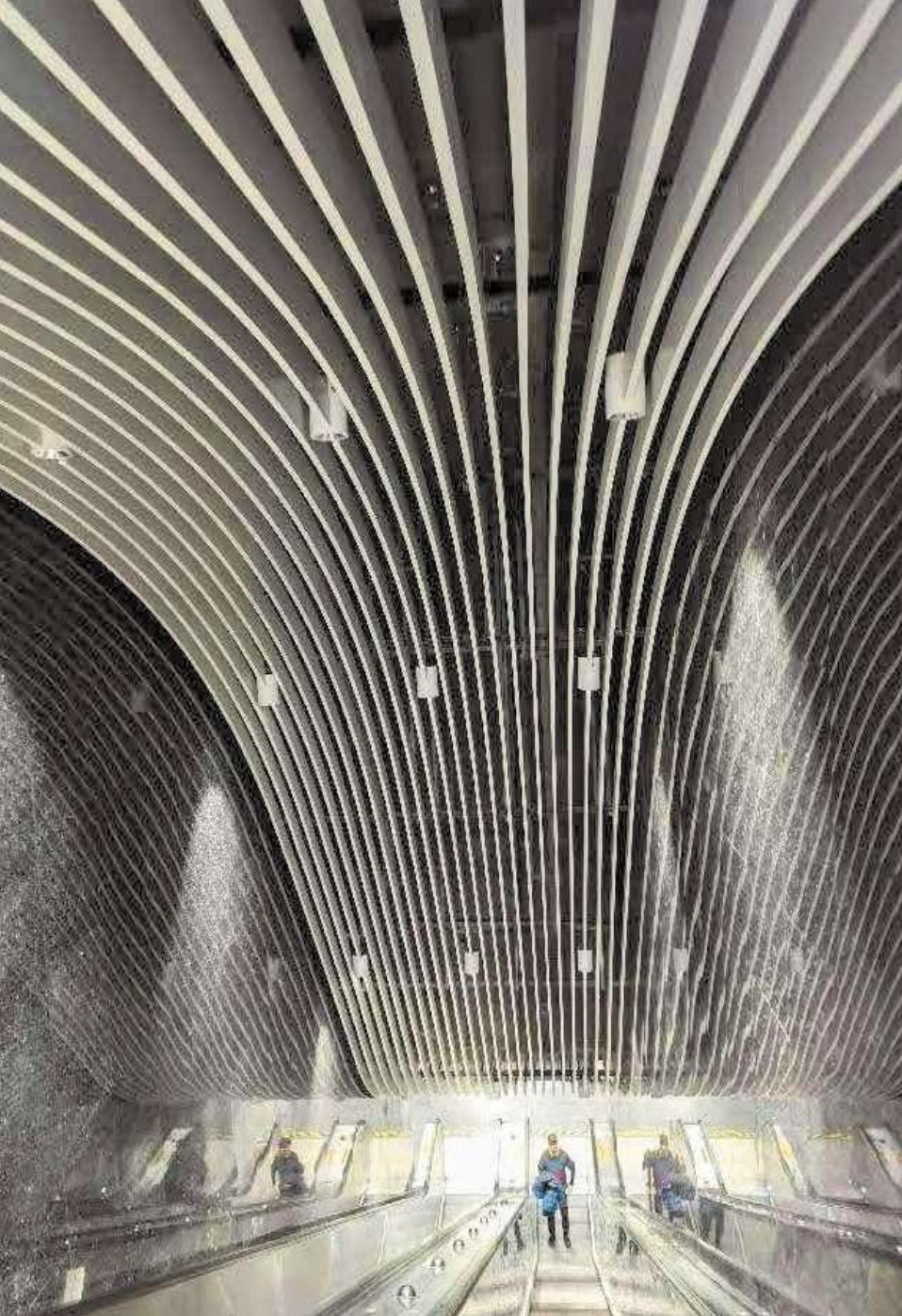 Curved aluminium baffle ceiling application from the company portfolio
